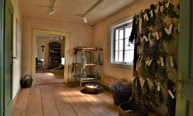 Byliny od jara do zimy –Iva Válková - přednáška od 17:00