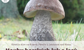 Houby horských luk a lesů