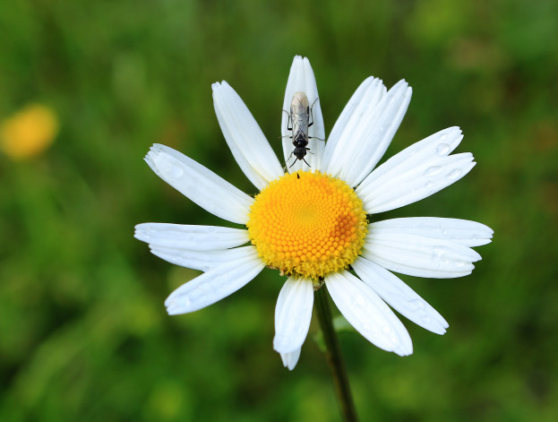 CESTA Bohuslav Štafl, výstava fotografií
