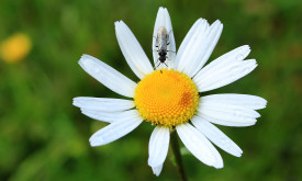 CESTA Bohuslav Štafl, výstava fotografií